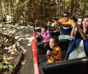 Sensasi Main Ke Hutan Burung Di Zona Jungle Adventure Cuma Di Eco Green Park