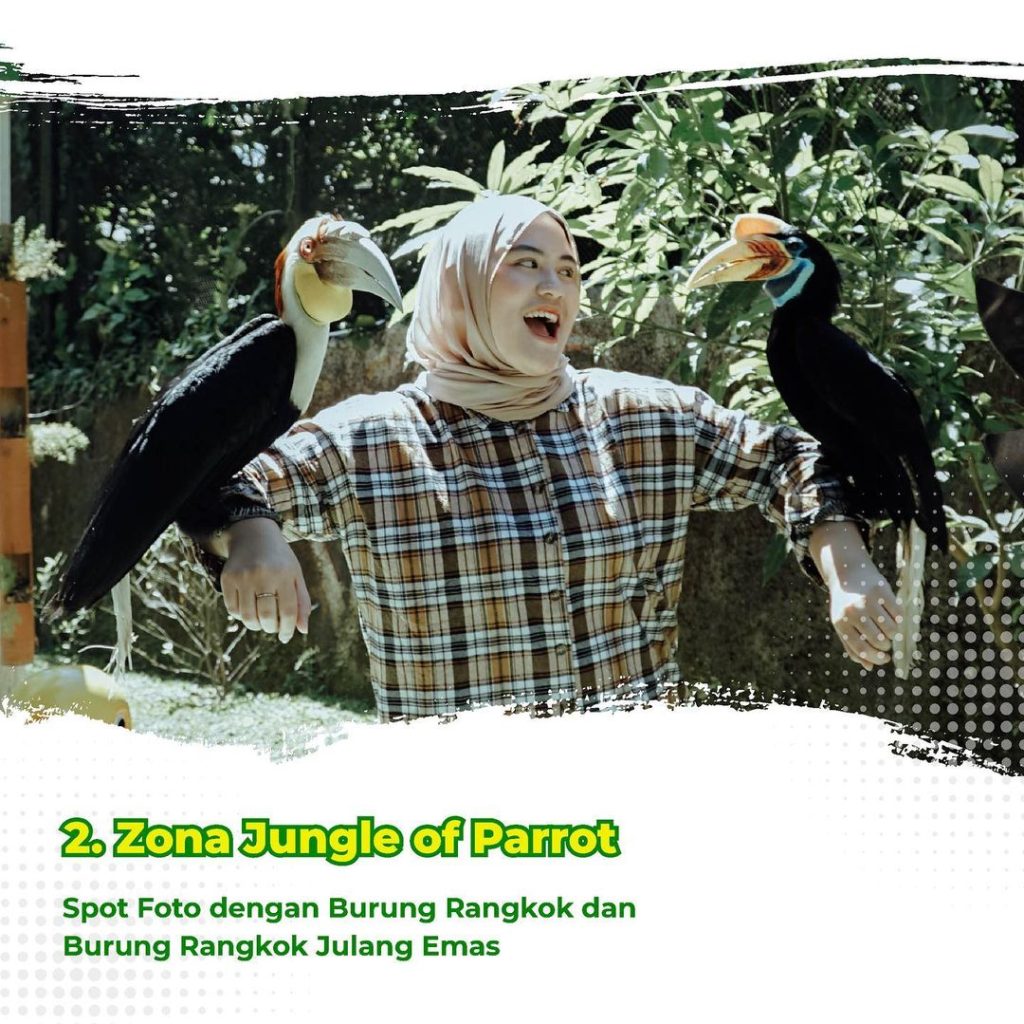 2. Zona Jungle Of Parrot Eco Green Park Jawa Timur Park Group