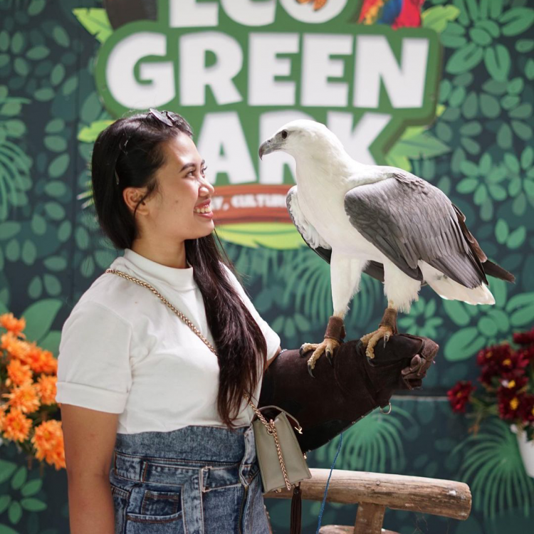 Bird Show Eco Green Park Jatimpark 2
