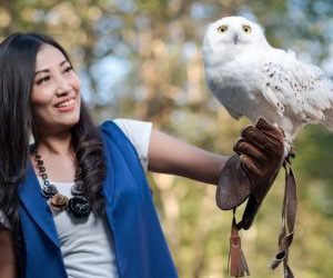 Mau Interaksi Dengan Burung Hantu Ke Eco Green Park Aja