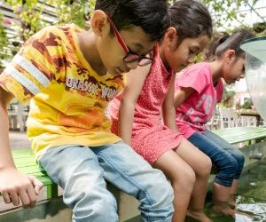 Menjajal Wahana Terapi Ikan Di Eco Green Park Gratis Lho