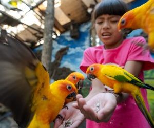 Belajar Tentang Burung Di Area World Of Parrot Eco Green Park Siapa Mau