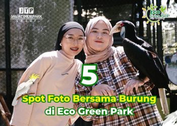 Jangan Terlewat! Ini 5 Spot Foto Favorit Bersama Burung Di Eco Green Park (cover)