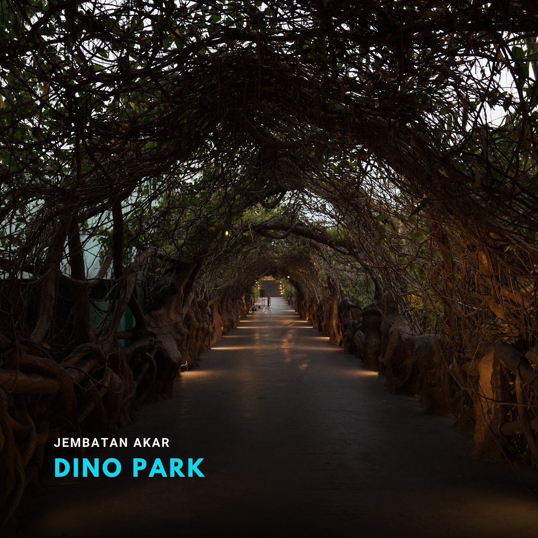 Jembatan Akar Dino Park Jawa Timur Park 3