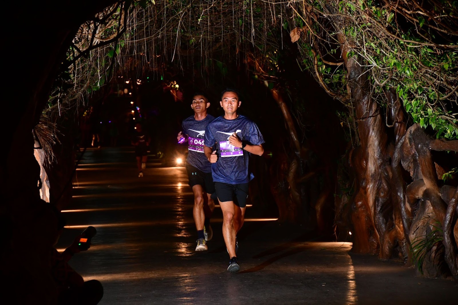 Fun Run Dino Night Run 2023