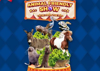 Animal Friendly Batu Secret Zoo Jawa Timur Park 2