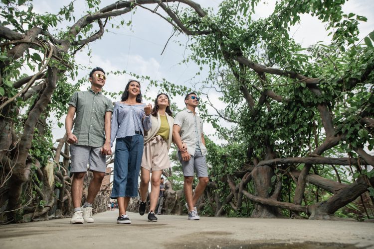 Jembatan Akar Ingin melihat dan berinteraksi dengan Dinosaurus dari ketinggian !