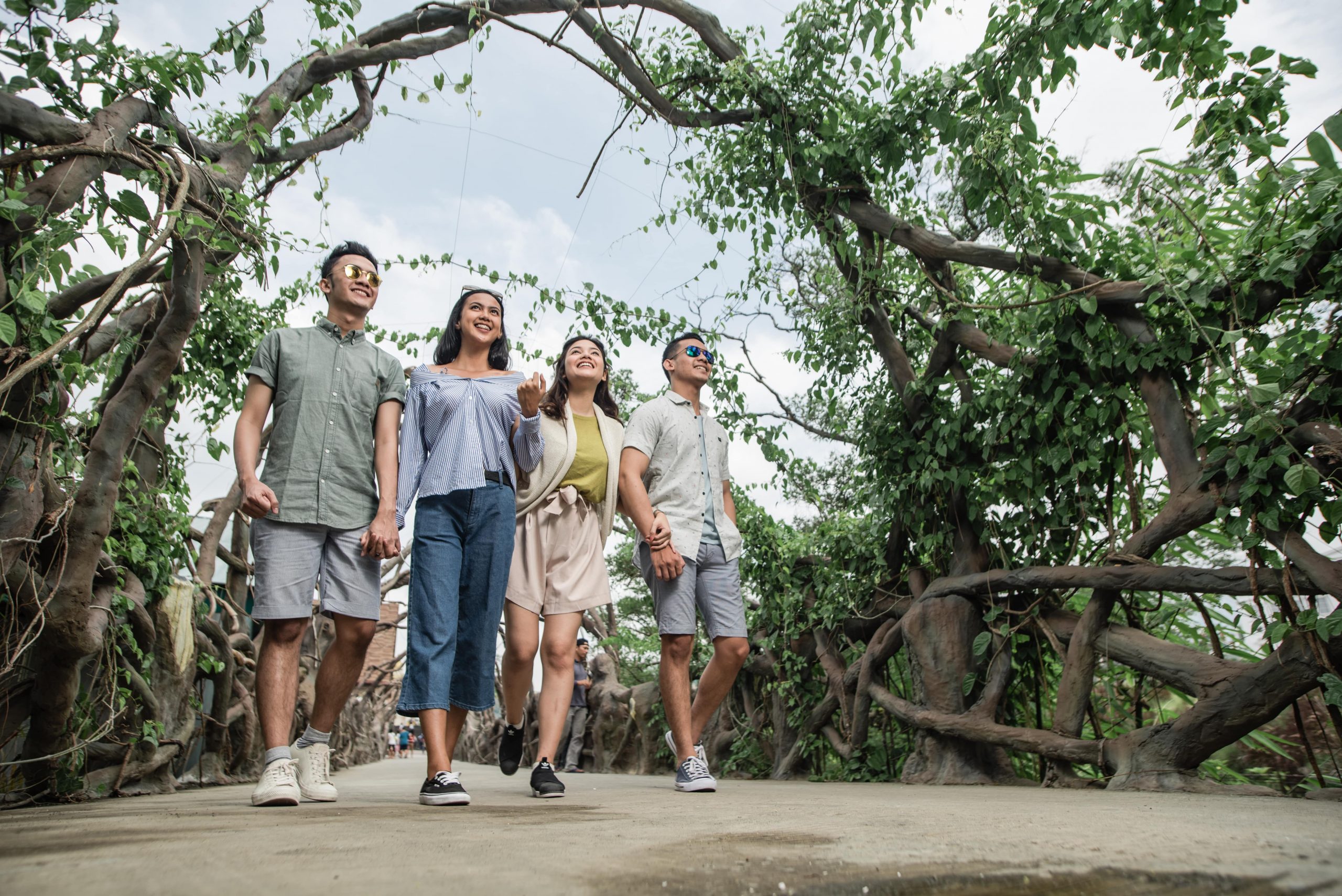 Jembatan Akar Ingin melihat dan berinteraksi dengan Dinosaurus dari ketinggian !