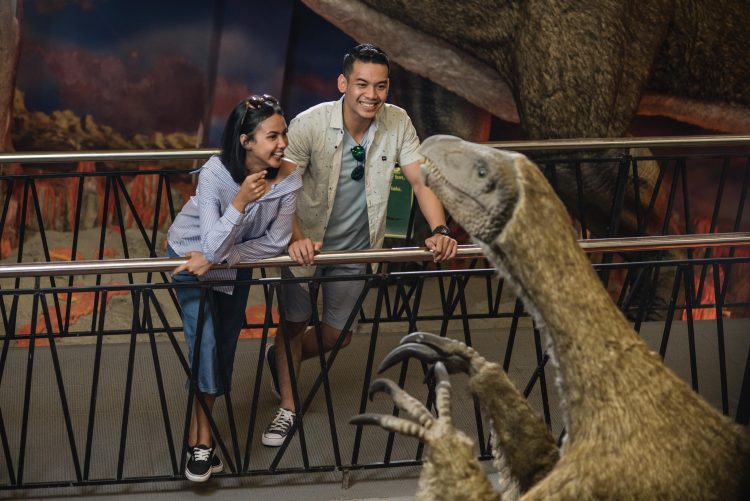 Mengenal jenis dinosaurus di Dino Park Jatimpark 3