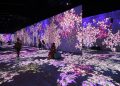 20200928094436 2. Flower Forest 483x322