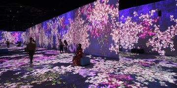 20200928094436 2. Flower Forest 483x322