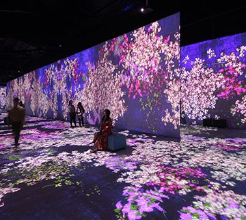 20200928094436 2. Flower Forest 483x322