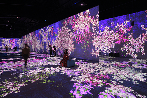 20200928094436 2. Flower Forest 483x322