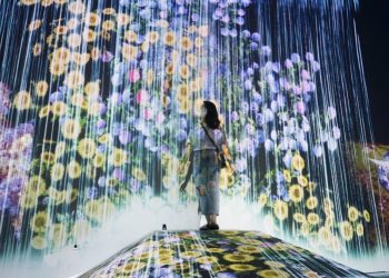 Di Zona Animal Forest Milenial Glow Garden Ada Hewan Unik Seperti Apa 750x499