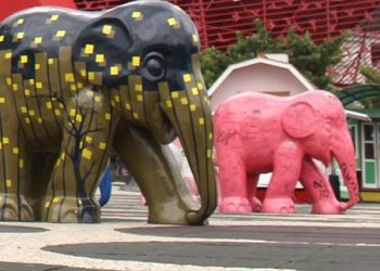 Museum Satwa Gajah Warna Warni Jawa Timur Park