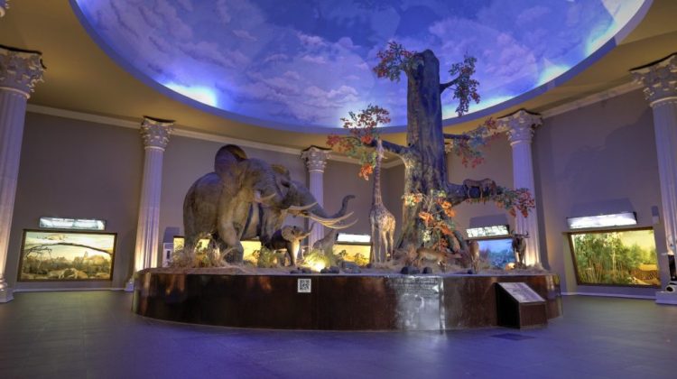 Dome Museum Satwa