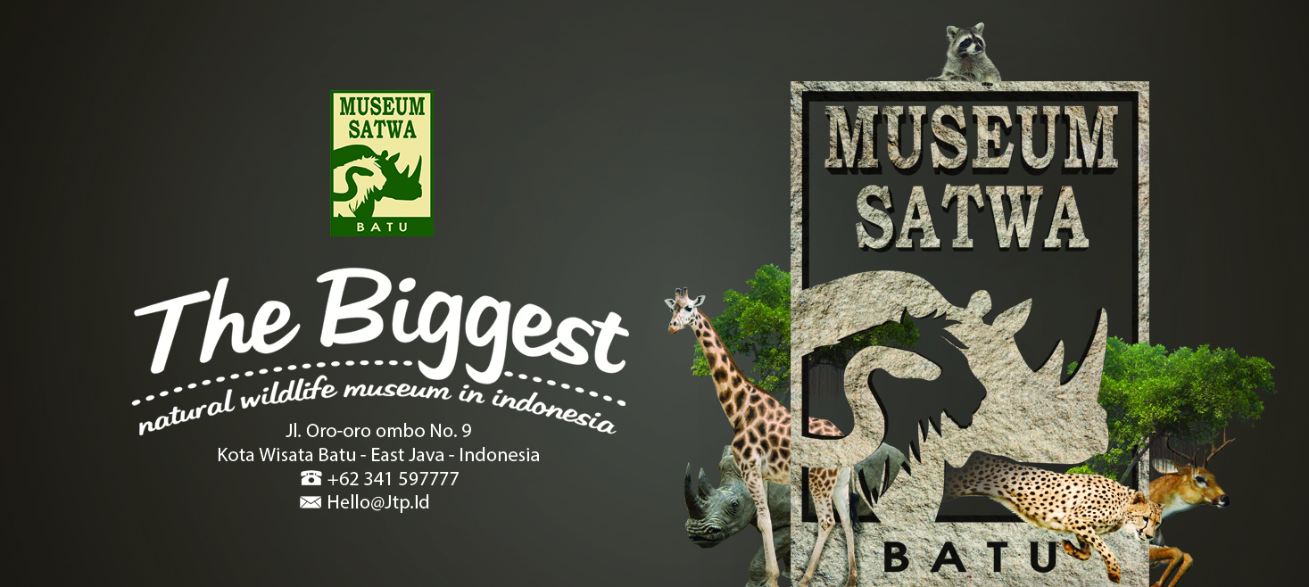 The Biggest Museum Satwa