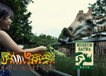 Museum Satwa Jawa Timur Park 2