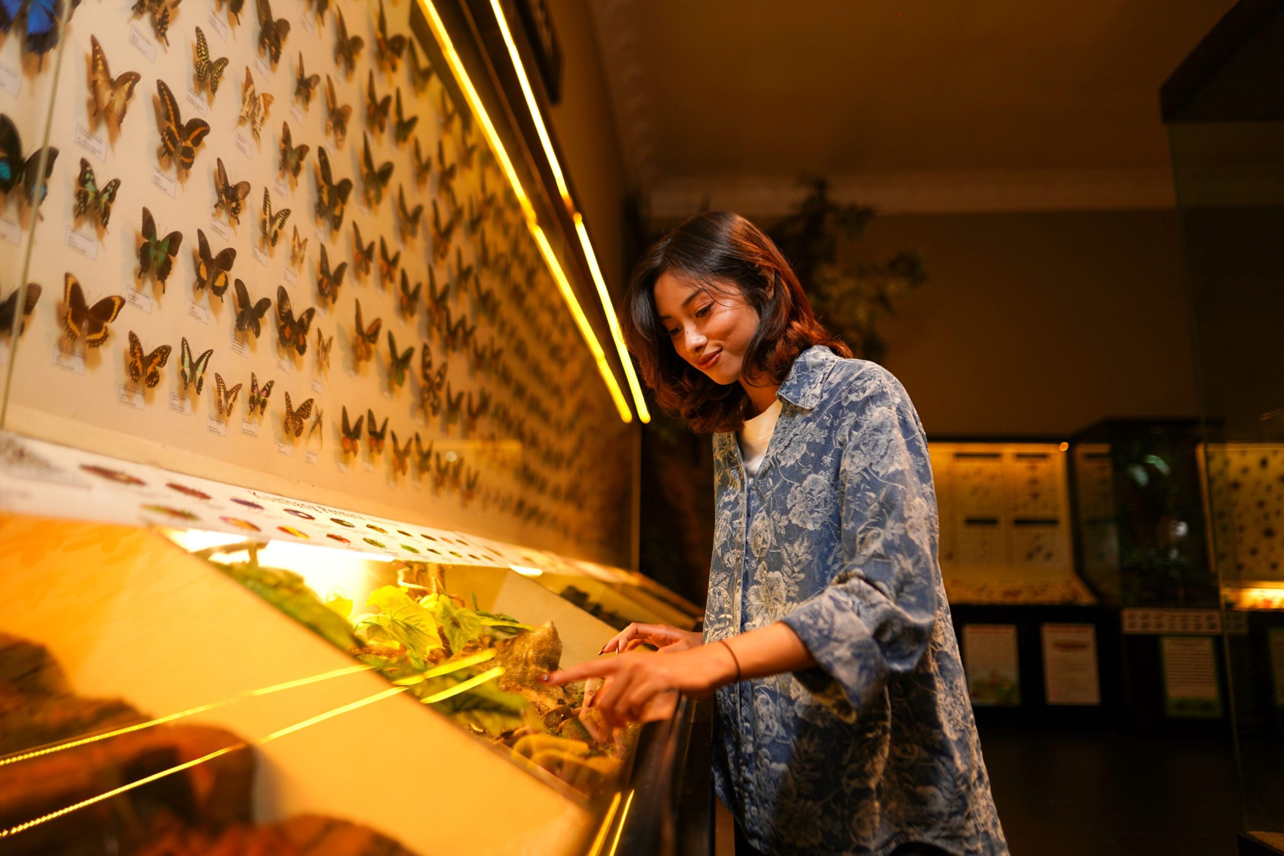 Museum Satwa Menjadi Salah Satu Museum Favorit Yang Selalu Dicari Wisatawan Saat Berkunjung Ke Kota Batu.