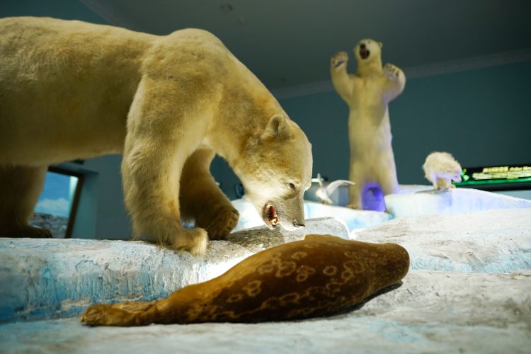 Zona Winter Museum Satwa, Wisata Edukasi yang Mengajak Mengenal Kehidupan Satwa di Daerah Bersalju