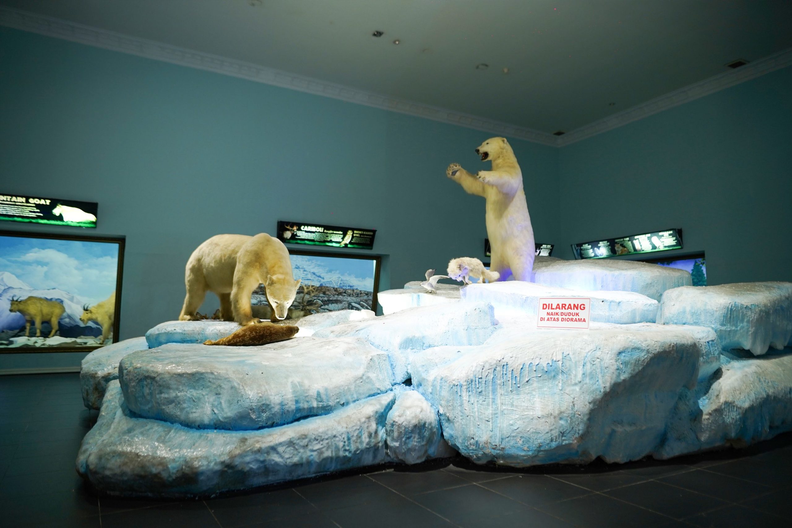 Zona Winter Museum Satwa, Wisata Edukasi yang Mengajak Mengenal Kehidupan Satwa