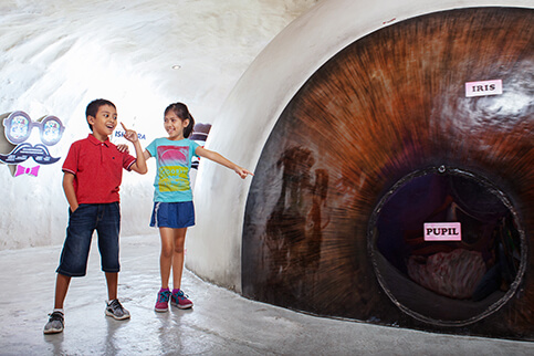 Museum Tubuh Zona Mata Jawa Timur Park 1