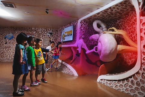 Zona Telinga Museum Tubuh Jawa Timur Park