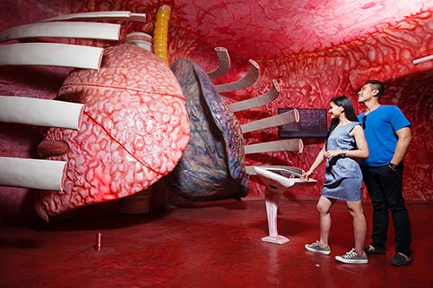 Zona Paru-paru Museum Tubuh Jawa Timur Park