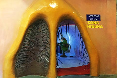 Zona Hidung Museum Tubuh Jawa Timur Park