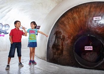Museum Tubuh Zona Mata Jawa Timur Park 1