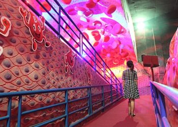 Zona Pembuluh Darah Museum Tubuh Jawa Timur Park