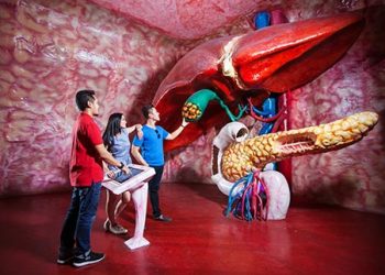 Zona Hati Museum Tubuh Jawa Timur Park