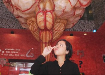 Zona Otak Museum Tubuh Jawa Timur Park