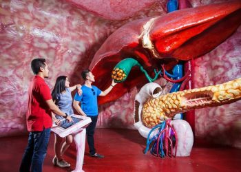 Human Body Museum Tubuh Jawa Timur Park 1