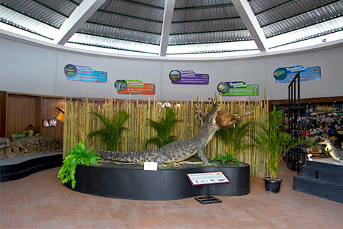 Hall Galeri Buaya