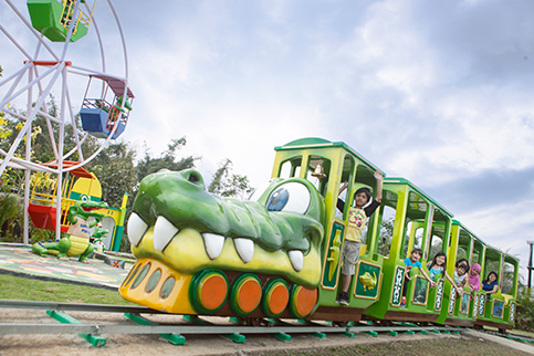 Croco Train