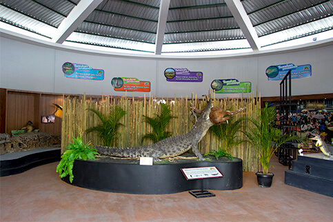 Hall Galeri Buaya Predator Fun Park Jawa Timur Park