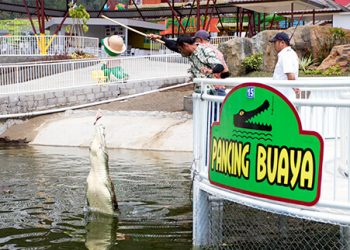 Pancing Buaya Predator Fun Park Jawa Timur Park