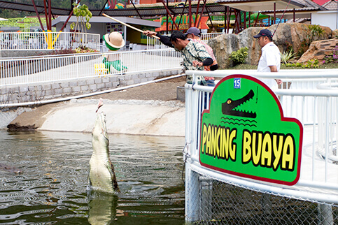 Pancing Buaya Predator Fun Park Jawa Timur Park