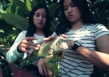 Mini Company Profile Predator Fun Park Jawa Timur Park